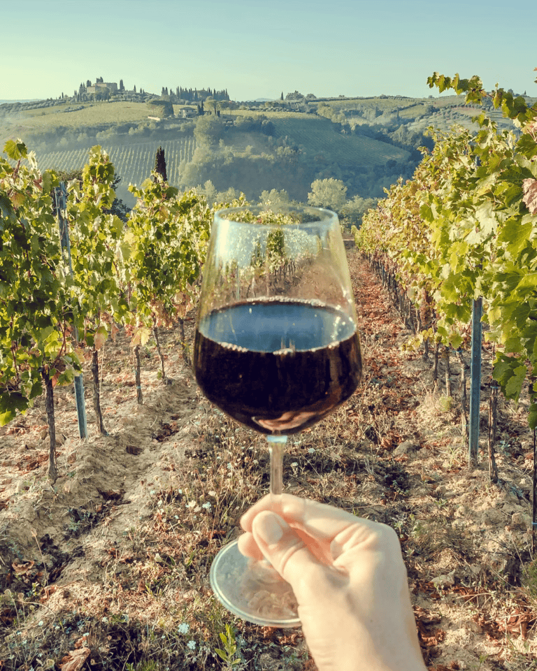 SEGURANDO TACA VINHO - Curso Fazer Vinho